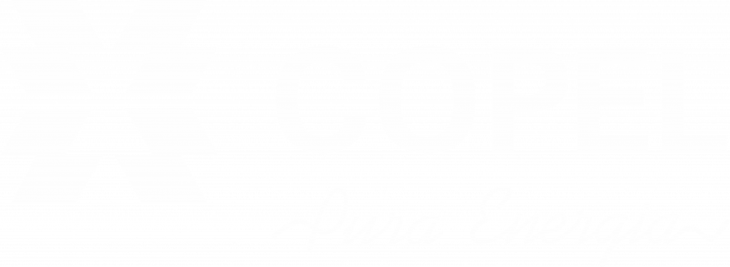 Energia da sustentabilidade - Copel - Pura Energia